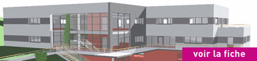 immobilier batiments locaux bureaux professionnels
