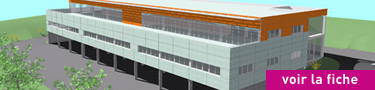 immobilier batiments locaux bureaux professionnels