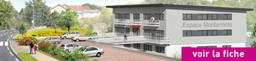 immobilier batiments locaux bureaux professionnels
