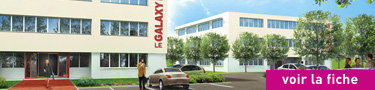 immobilier batiments locaux bureaux professionnels